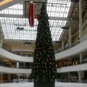 Meet your Posher, Norma